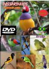 DVD 19 -  P�ssaros Livres - Sons P�ssaros Brasil